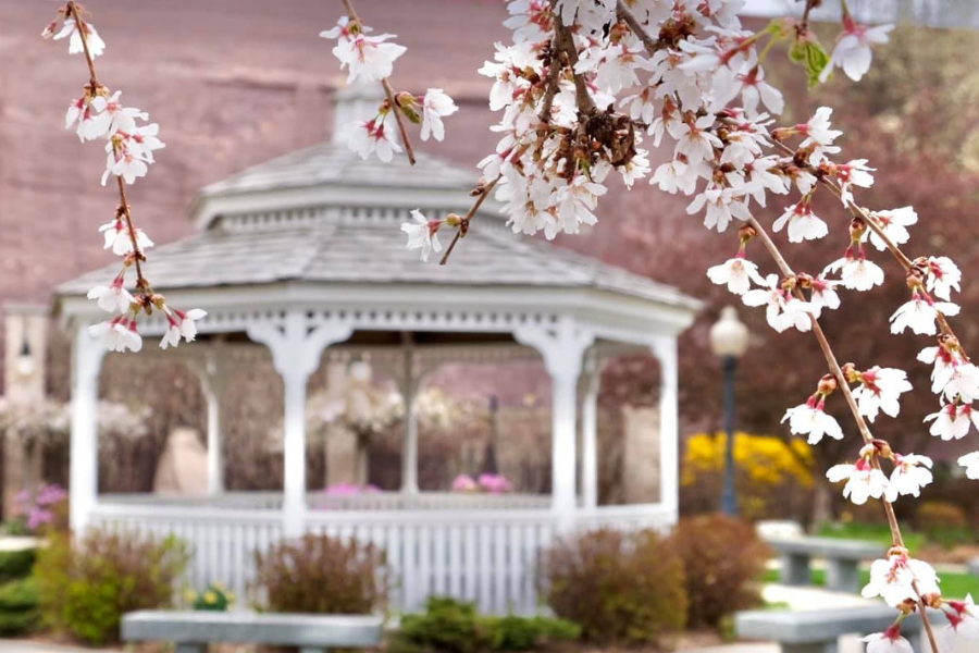 A white gazebo is framed by blooming tree branches with white flowers in the foreground, set in a tranquil garden with soft, warm tones.