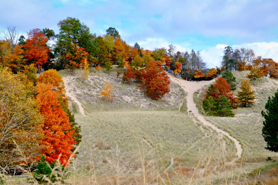 Autumn hillside with winding sandy trails, golden grasses, and vivid red, orange, and green trees beneath a bright blue sky.