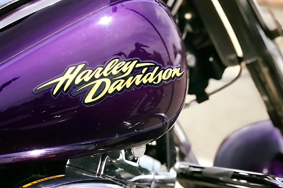 purple tank on Harley Davidson motorcycle