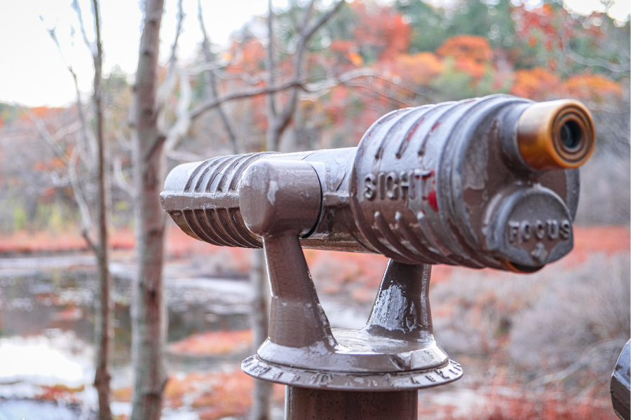 Weathered EnChroma-enabled scenic viewer at Lost Lake Overlook, set against an autumn forest with red and orange foliage; nostalgic, quiet atmosphere.