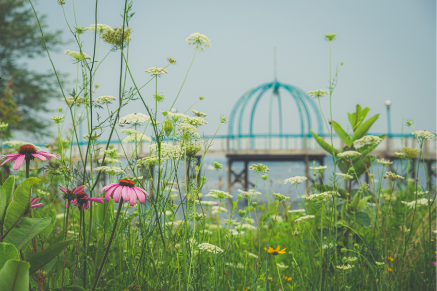 Flowers and greenery in the foreground with a view of the iconic pedestrian bridge at Heritage Landing in the background.