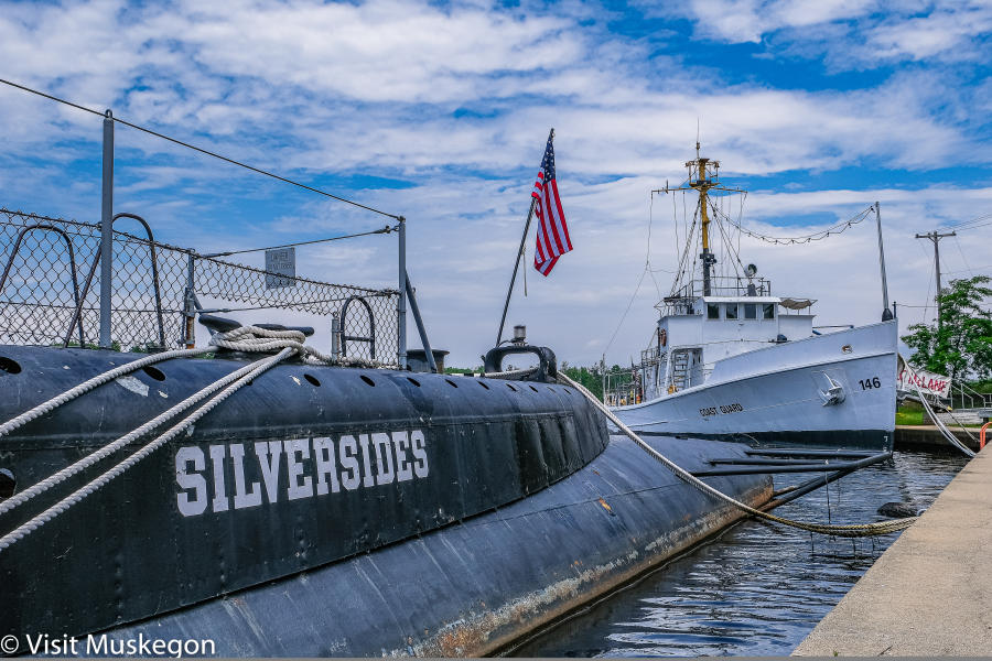 Silversides side