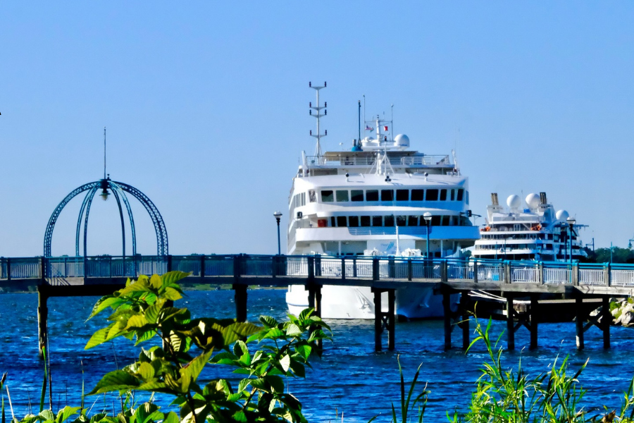 A large cruise ship docked at a pedestrian bridge extending into a bright blue body of water, with a second ship to it's right. Green foliage in the foreground and a clear sky overhead.