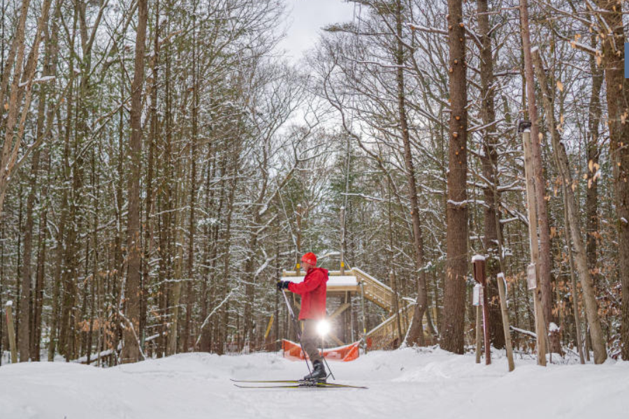 Person cross-country skiing through a snow-covered forest, poised in front of wooden platform.