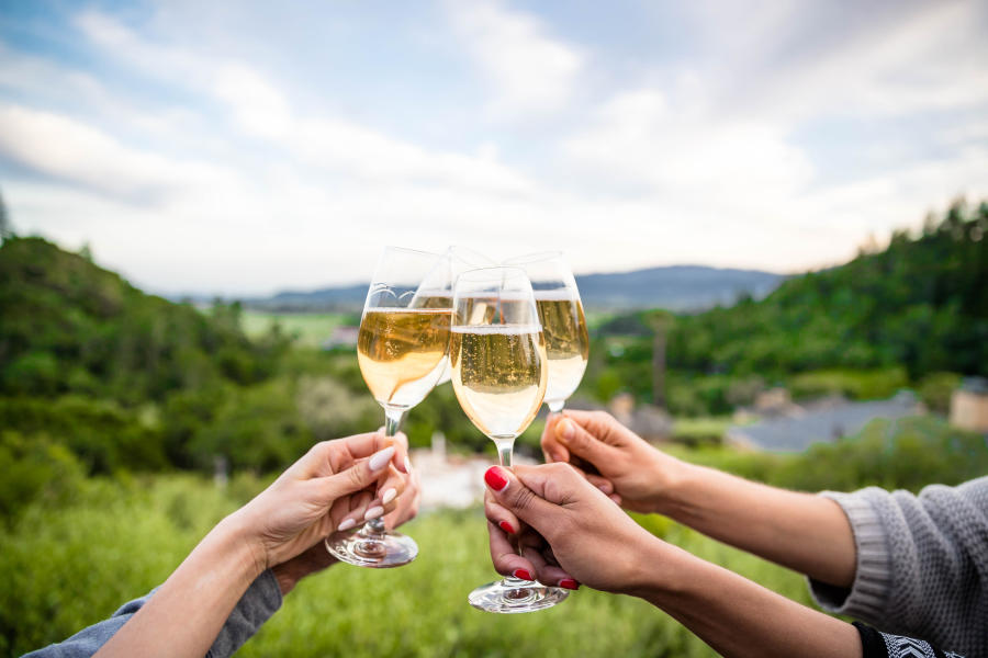 Four hands clink champagne glasses outdoors, surrounded by lush greenery and hills in Napa.