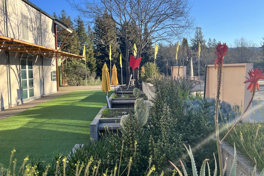 The Napa Valley Museum Yountville