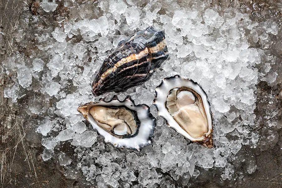 Hog Island Sweetwater oysters