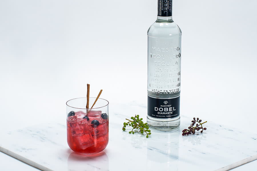 Maestro Dobel’s Poinsettia