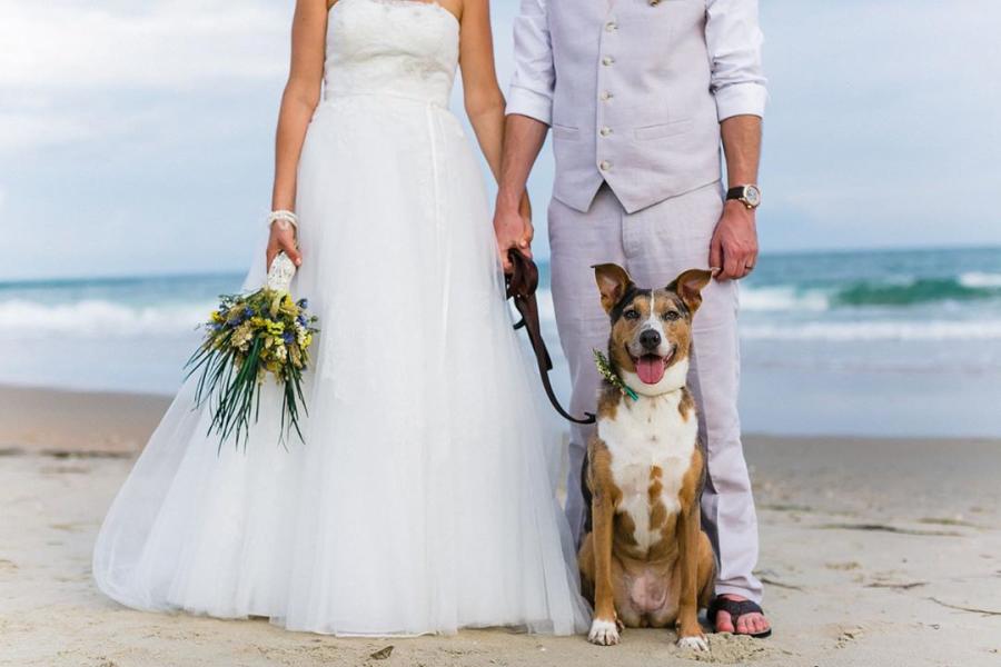 Newlyweds With Their Dog On A Beach On The Outer Banks Of NC