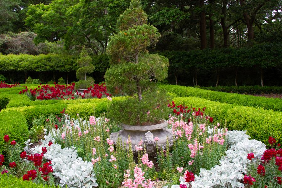 elizabethan gardens blog