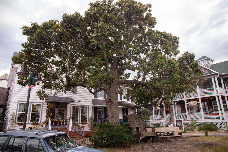 manteo downtown walking tour 3