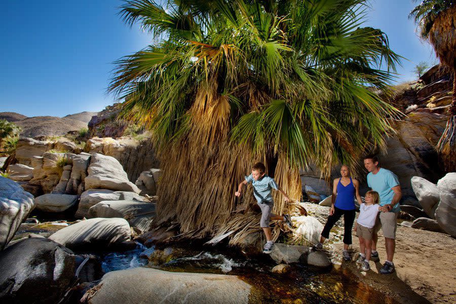 family at indian canyons in palm springs