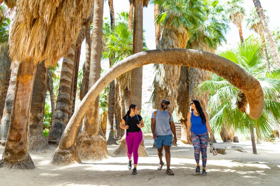 Three people hiking in Palm Canyon.