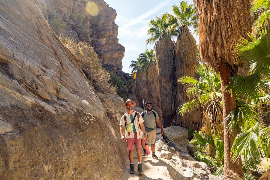 Two Guys hiking in Indian Canyons, Palm Springs