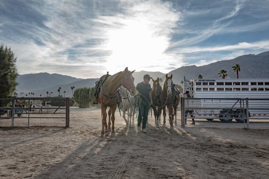 smoke tree stables credit Olivier Mastey