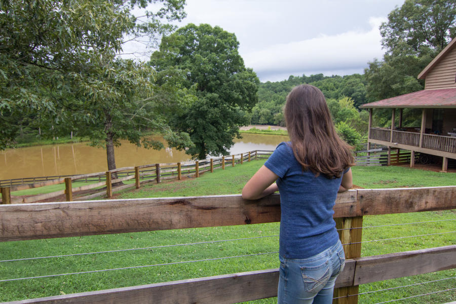 Cedar Creek Stables Horse Riding, Lake Lure, NC