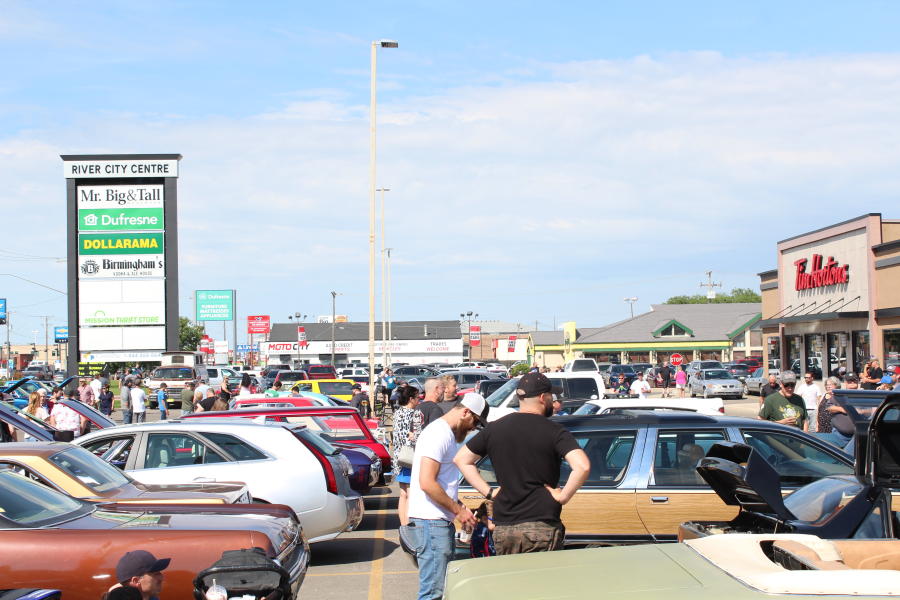 people looking at cars