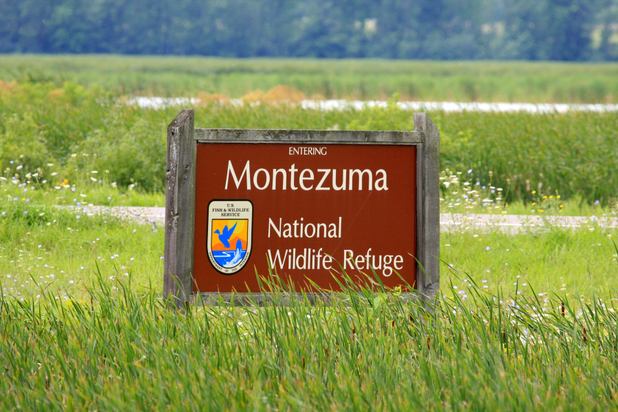 Montezuma Wildlife Refuge