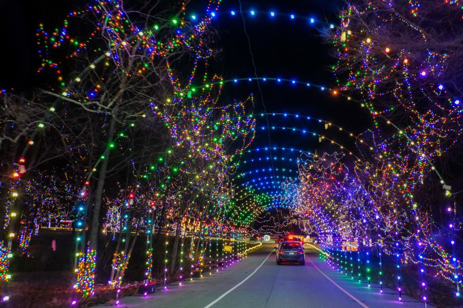 Celebration of Lights