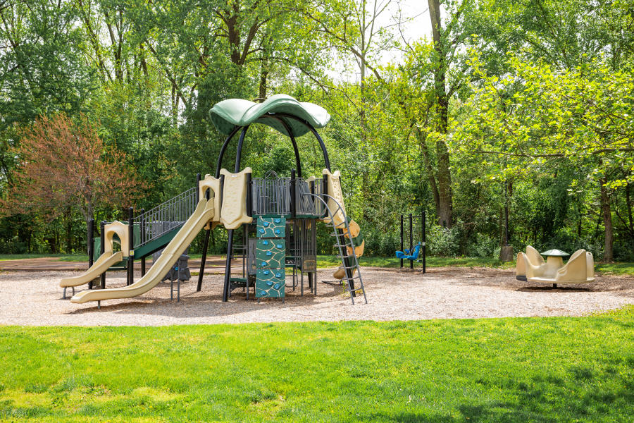 Dusable Park
