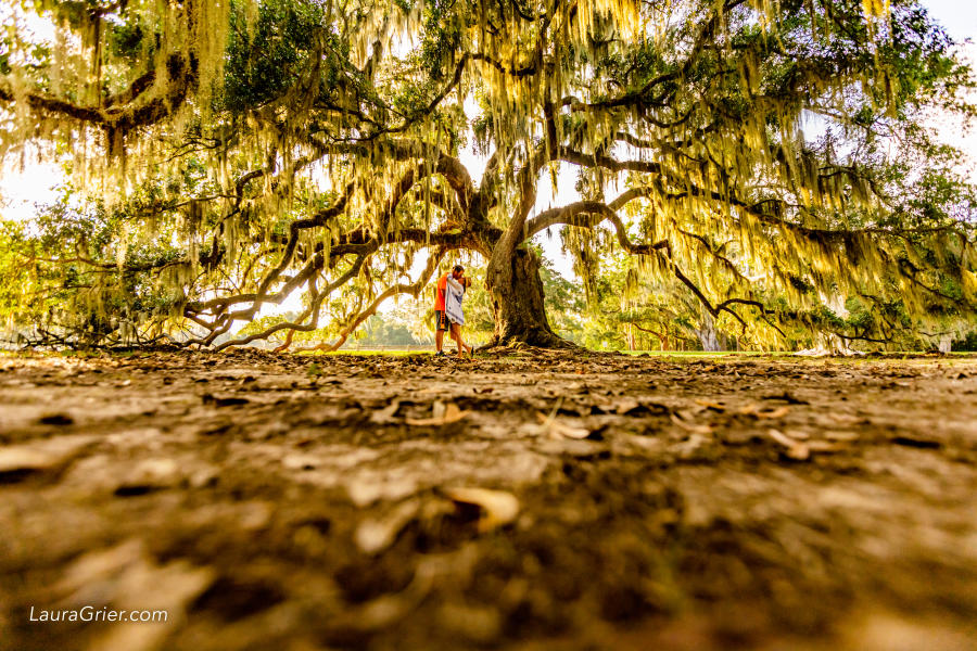 Kissing under the oaks at Fontainebleau State Park