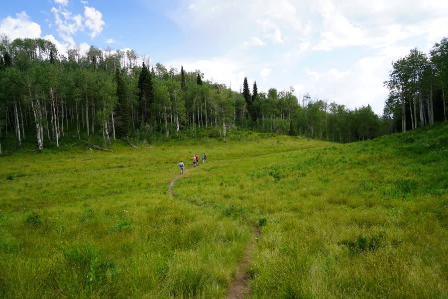 Ward family is in the distance in open hiking field on their way to rock climbing destination in American Fork Canyon