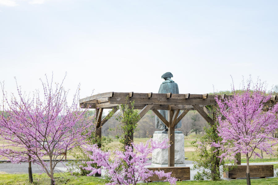 Cherry trees at VFNHP