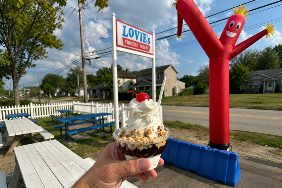Lovie's Frosty Twist