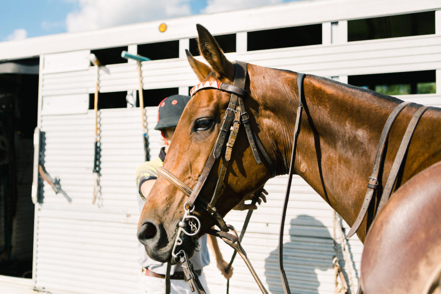 Pittsburgh Polo Club