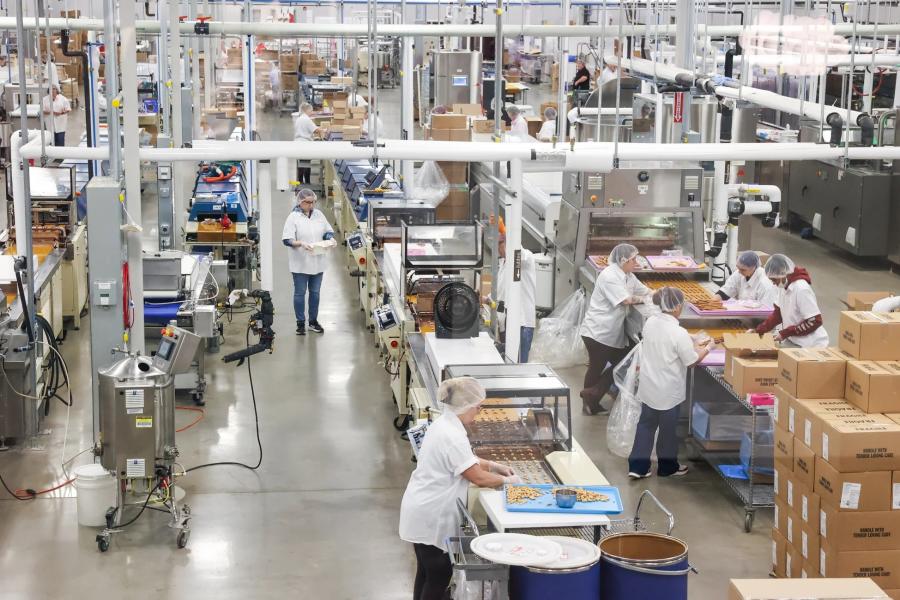 Sarris Factory