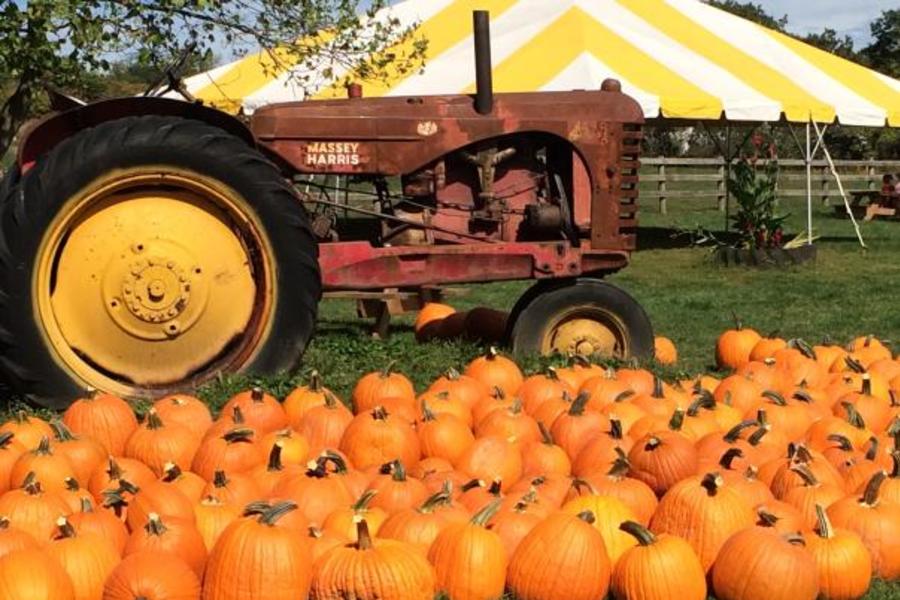 Springhouse Fall Festival