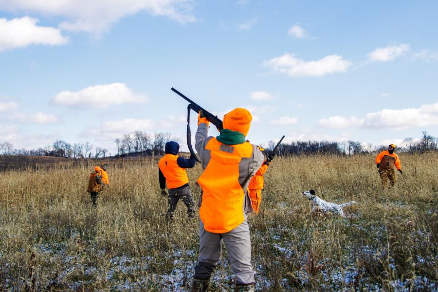 Upland Bird Hunting MOA