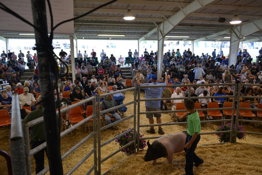 Washington County Agricultural Fair