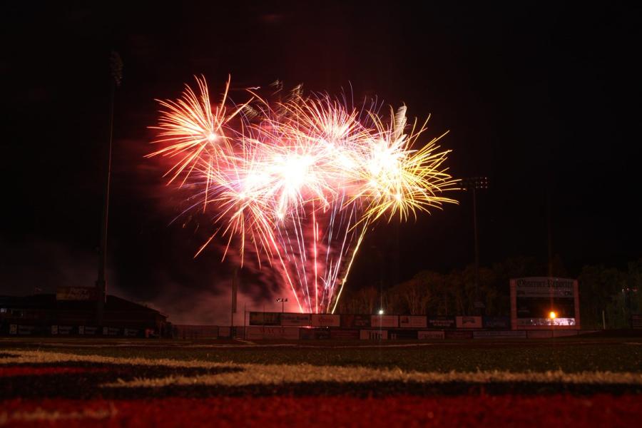 Washington Wild Things Fireworks