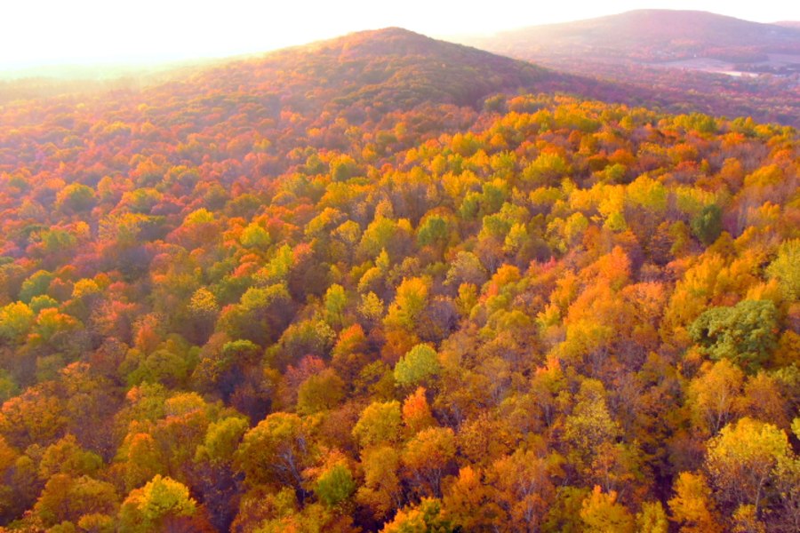Rib Mountain Wausau Brilliant Fall Color