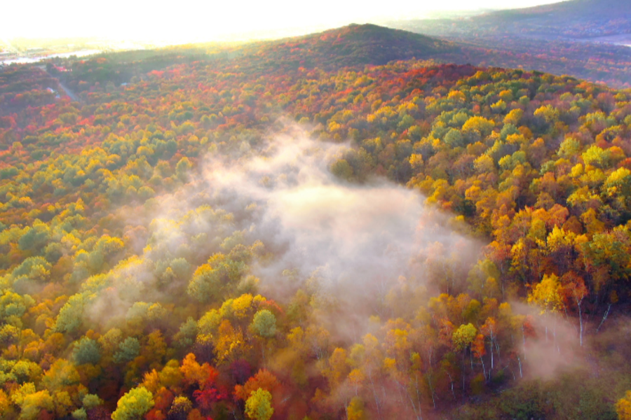 Rib Mountain aerial view of a colorful forest in autumn, with vibrant yellow, orange, and green trees partially shrouded in soft mist.