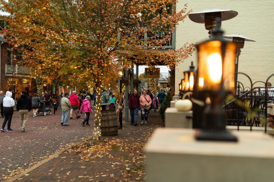 Fall on Main Street
