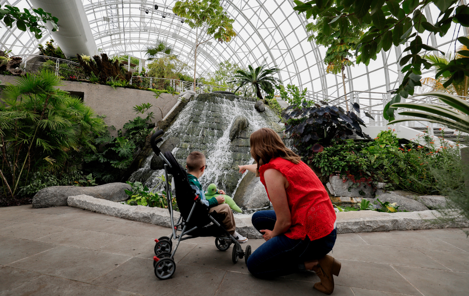 Mother and toddler son, who is in stroller, looking at waterfall in the Crystal Bridge