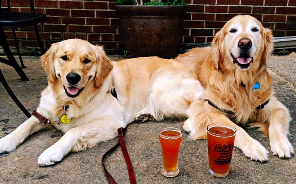 Dogs on Crown Brewing's patio In South Shore, IN