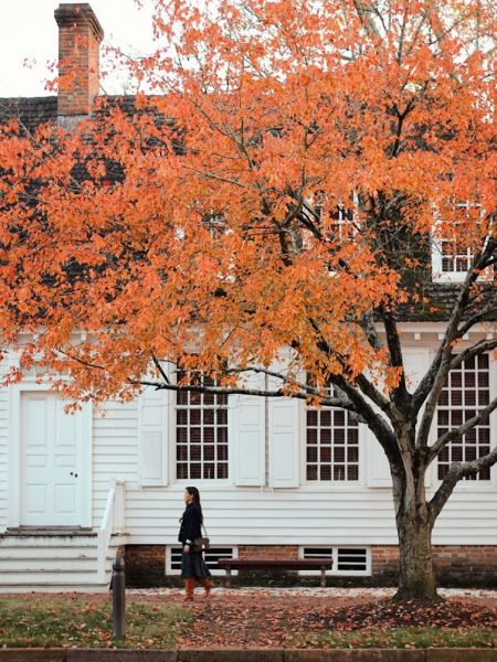Fall foliage in Williamsburg