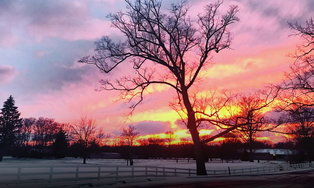 Winter sunset at Foster Park