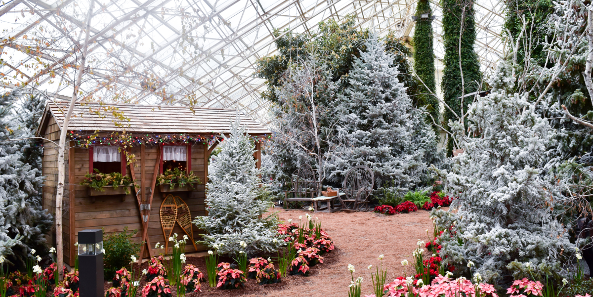 Holidays at Botanical