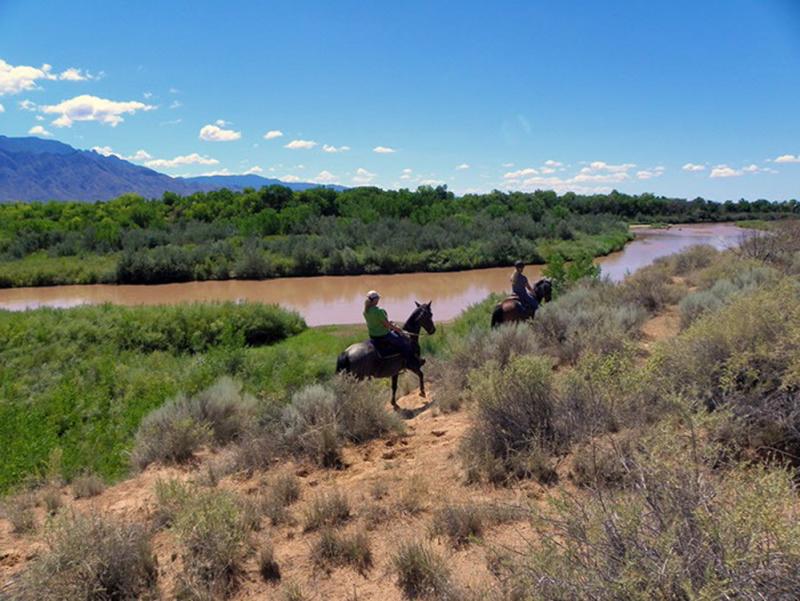 Horseback riding on Bosque