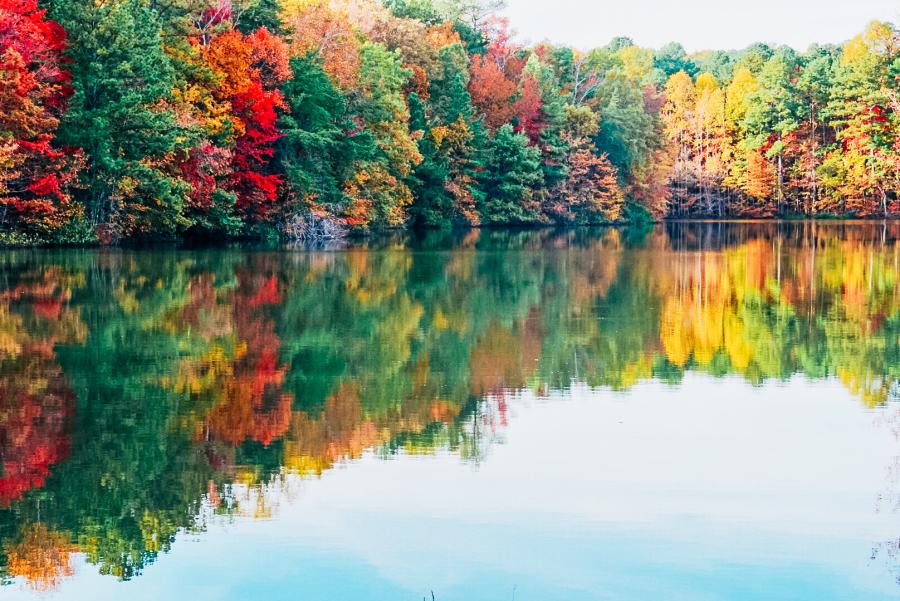 Fall Color on Display at Alabama's State Parks