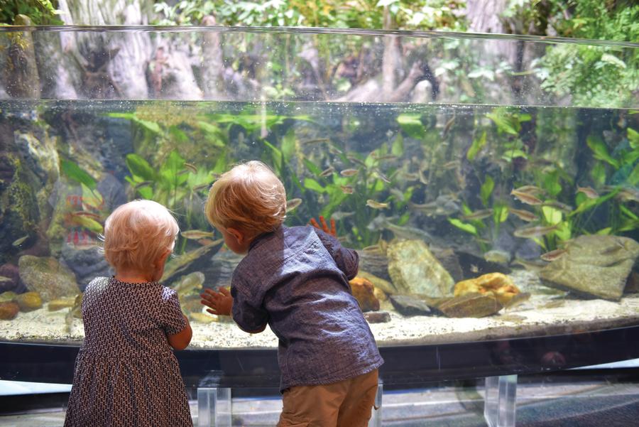 aquarium
