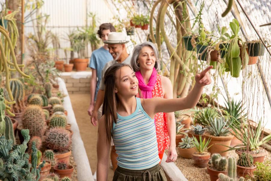 Moorten Botanical Garden, Palm Springs Art Museum, Great Shakes and Lone Palm Bungalow in Palm Springs, CA