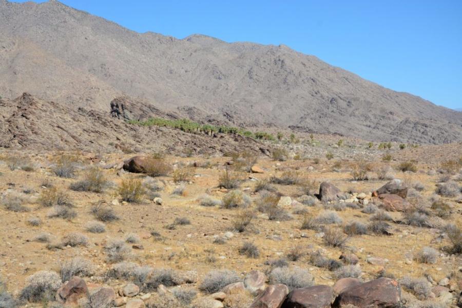 Desert landscape view along Coffman Trail toward Murray Canyon, featuring rocky hillsides, scattered shrubs, and rugged Palm Springs terrain.