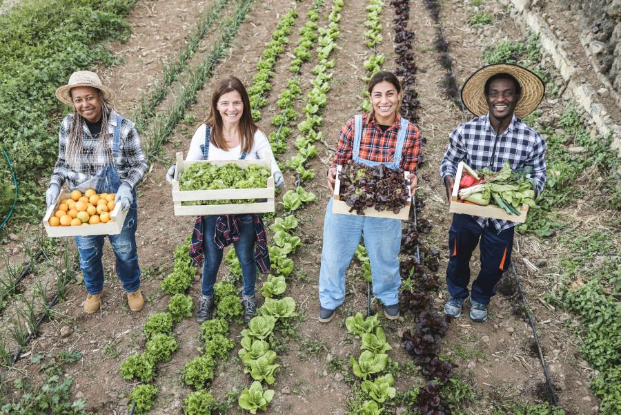 Multi generational farmer team holding wood boxes with fresh organic vegetables -farmers market