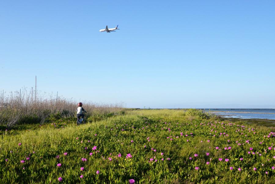 Coyote-Point-San-Mateo-California-by-Edna-Geller