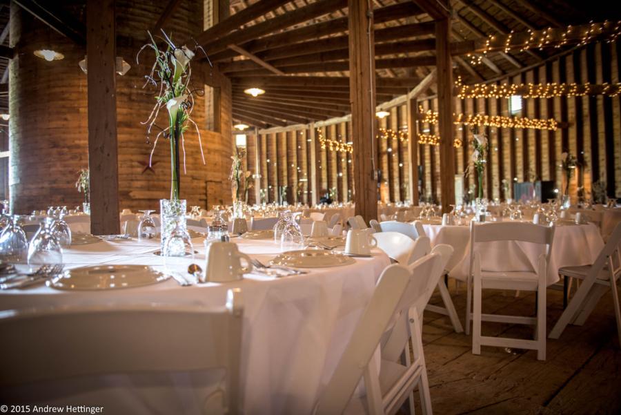 Wedding at Willow Springs Garden